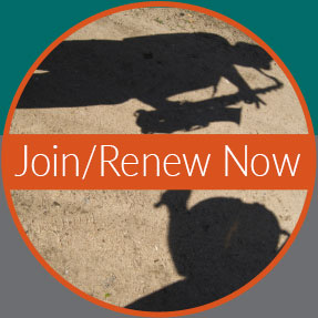 Join / Renew Now